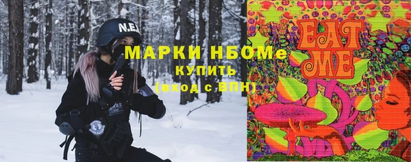 ПСИЛОЦИБИНОВЫЕ ГРИБЫ Гусев